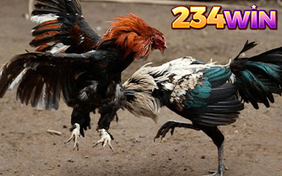 234WIN
